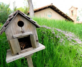 Casetta_uccellini_per_natura_green