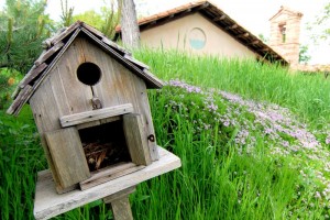 Casetta_uccellini_per_natura_green