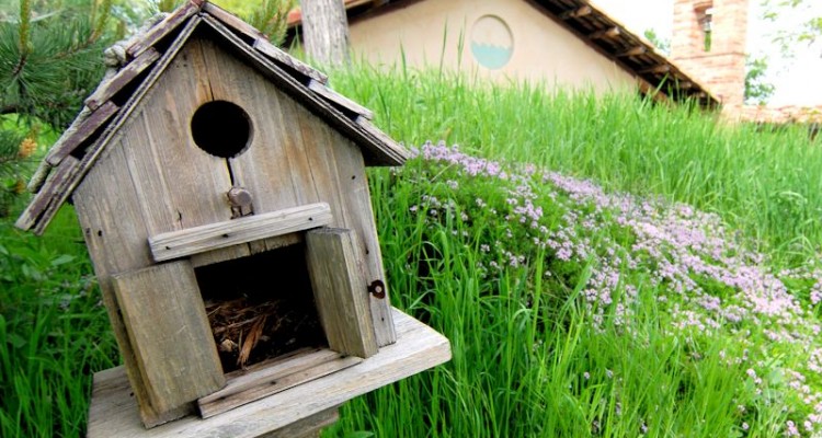 Casetta_uccellini_per_natura_green